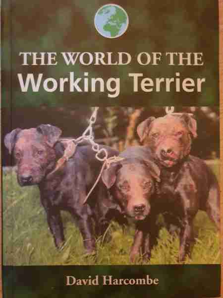 Working Terrier Books Atelier Yuwa Ciao Jp