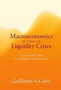 Macroeconomics in Times of Liquidity Crises