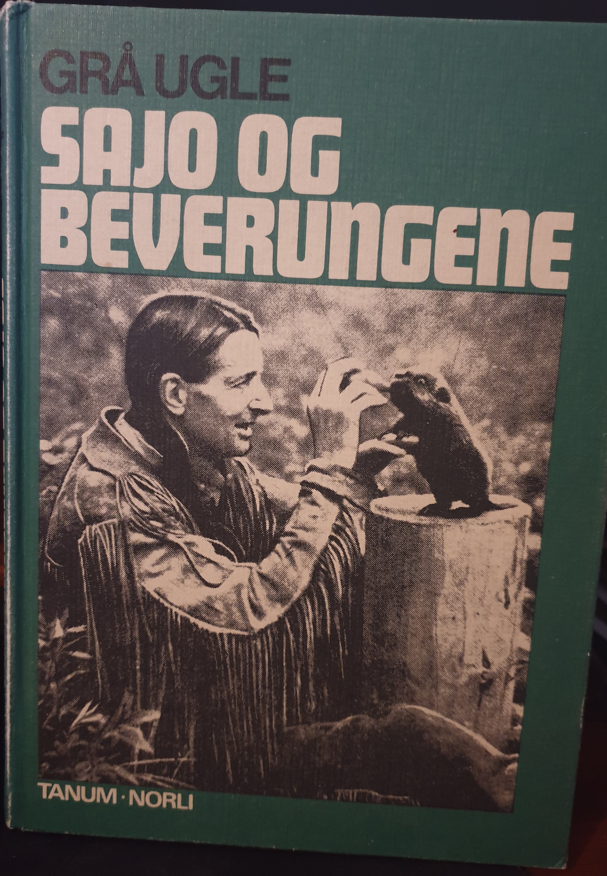 sajo og beverungene