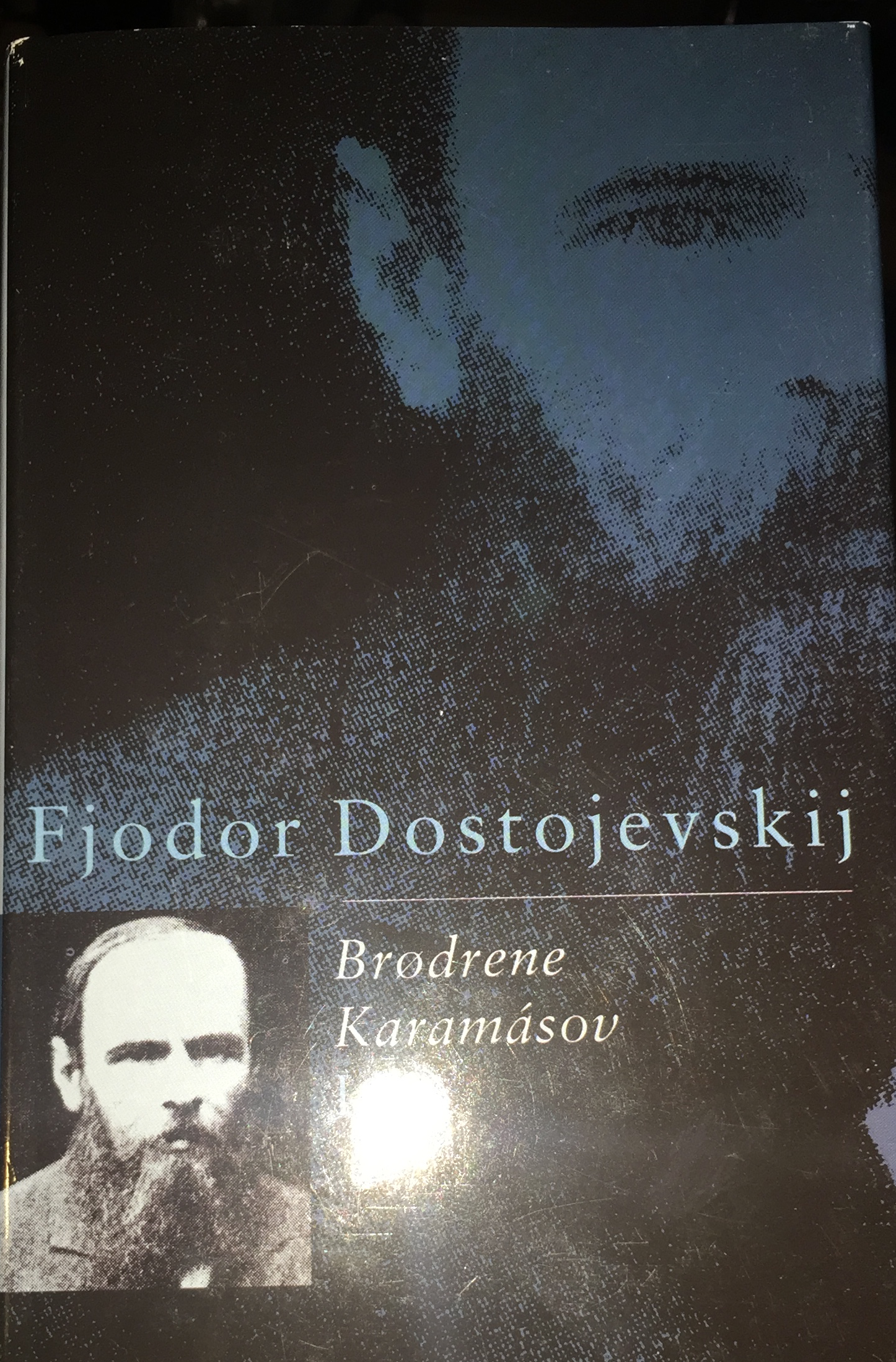 Brødrene karamasov bd 1