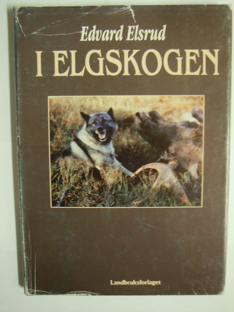 I elgskogen