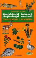 Sámegiel-dárogiel, dárogiel-sámegiel govvasátnegirji = Samisk-norsk, norsk-samisk bildeordbok