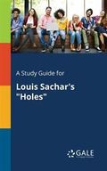 A Study Guide for Louis Sachar's "holes"