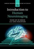 Cambridge Fundamentals of Neuroscience in Psychology