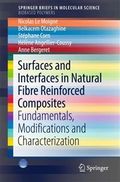 Surfaces and Interfaces in Natural Fibre Reinforced Composites