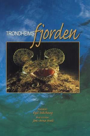 Trondheimsfjorden