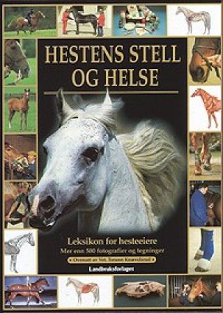 Hestens stell og helse