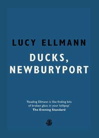 Ducks, Newburyport