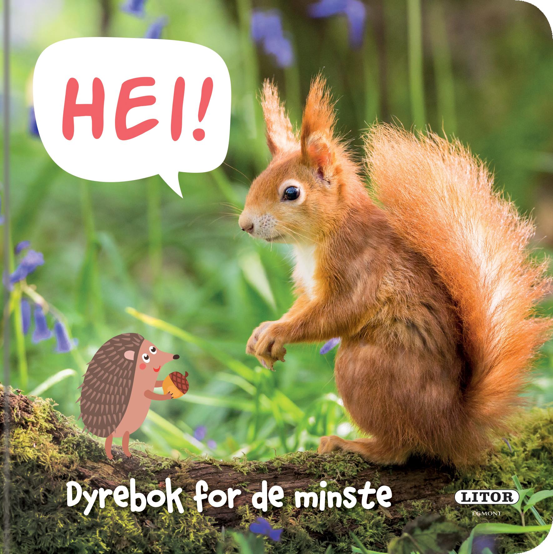 Hei!
