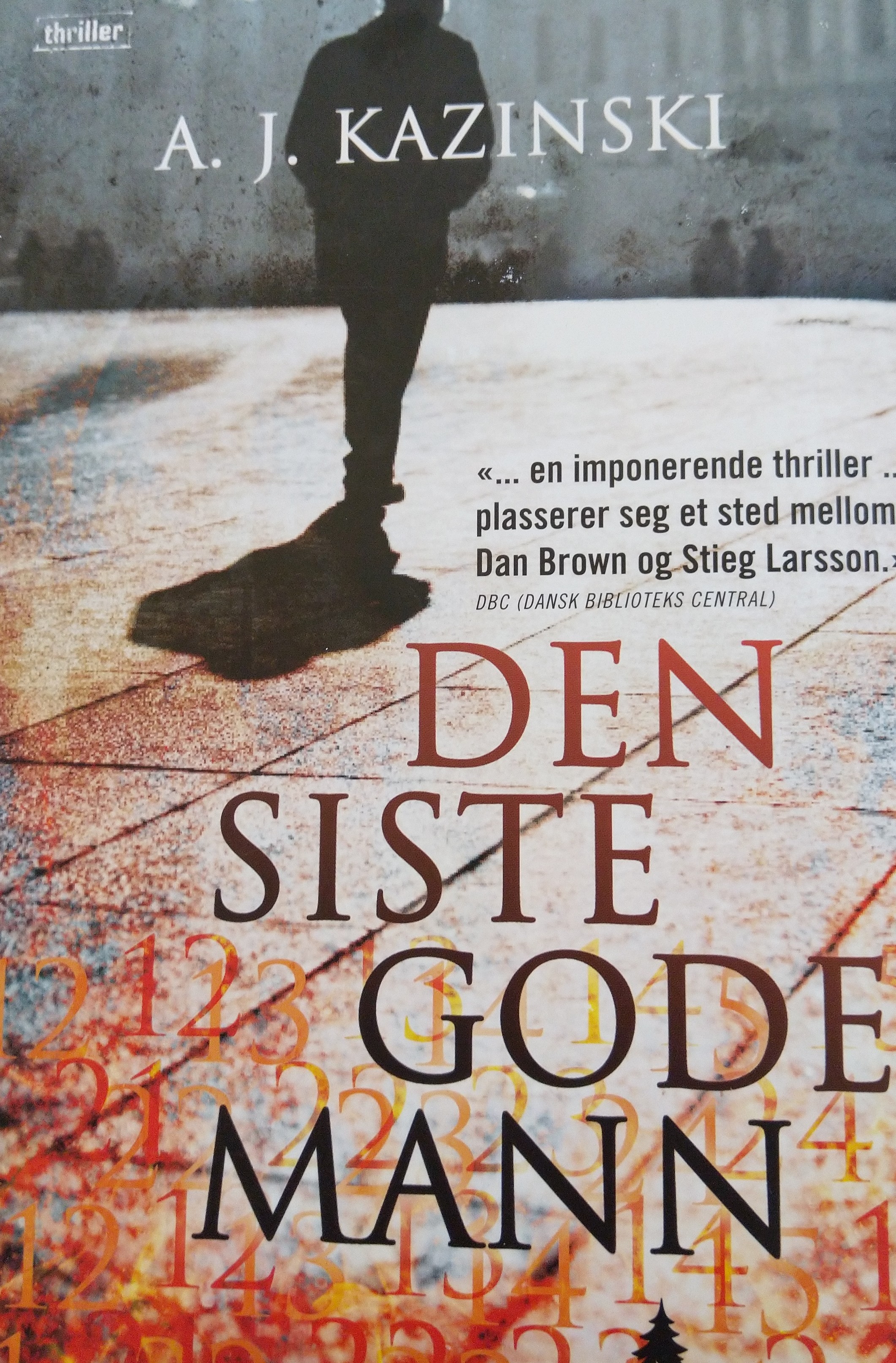 Den siste gode mann
