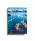 Lofoten vibe