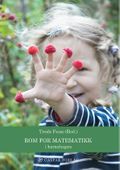 Rom for matematikk - i barnehagen