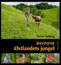 Ravinene