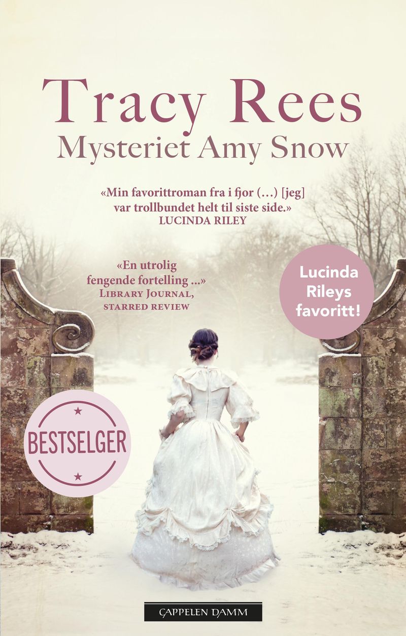 Mysteriet Amy Snow