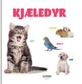 Kjæledyr