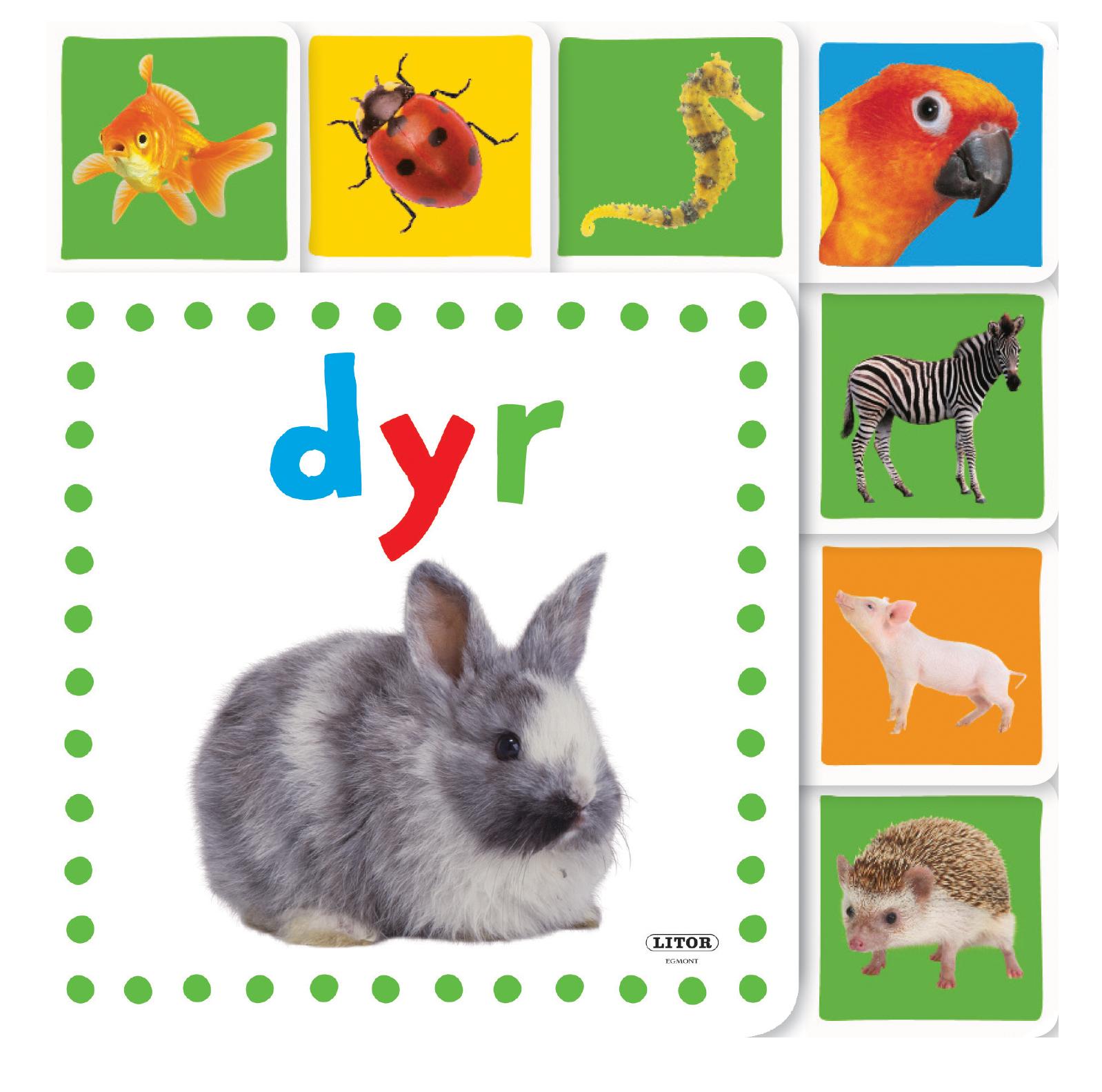 Dyr