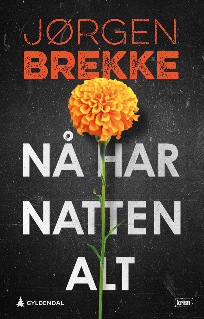 Nå har natten alt