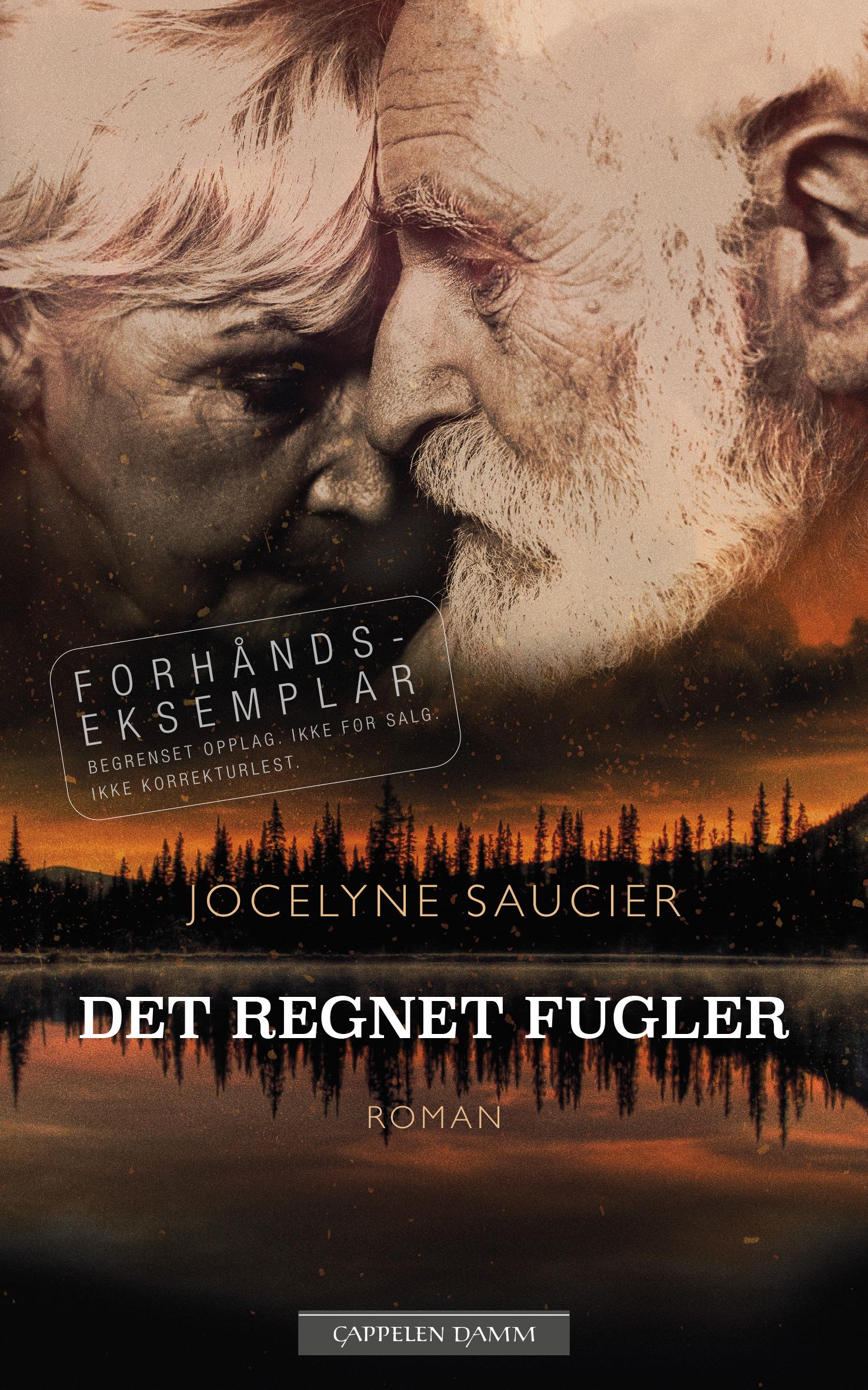 Det regnet fugler