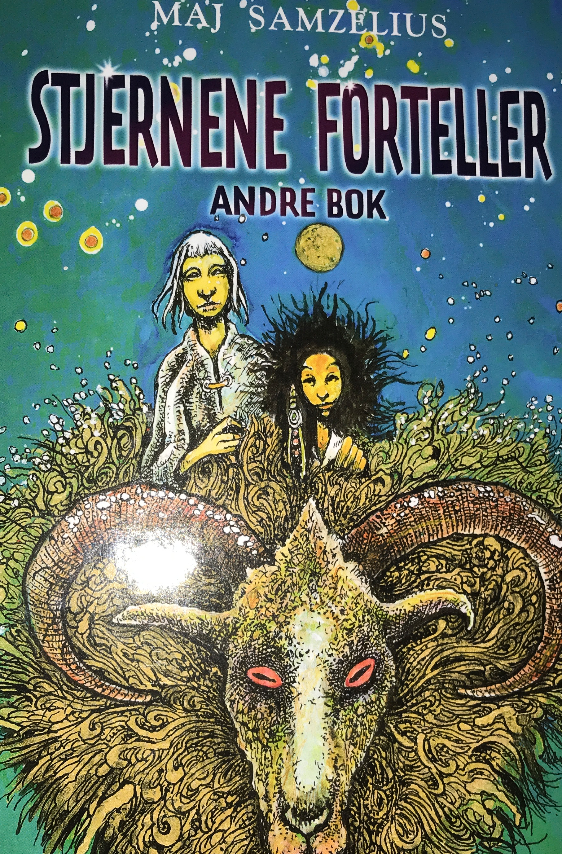 Stjernene forteller - andre bok