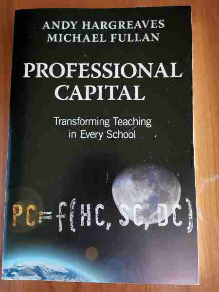 Professional Capital