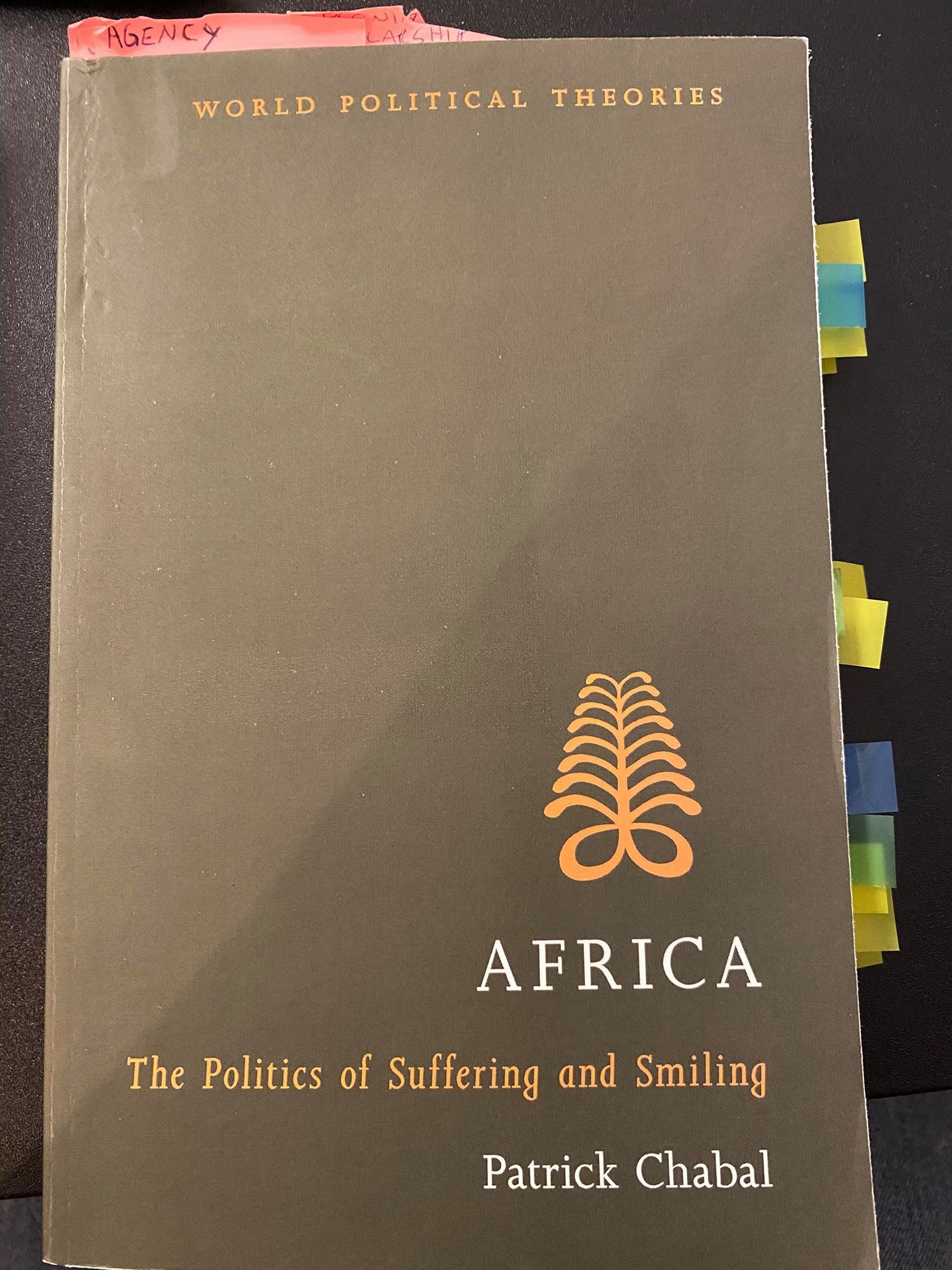 Africa - The Politics of Suffering and Smiling 