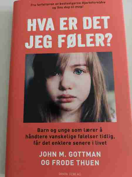 HVA ER DET JEG FØLER? 