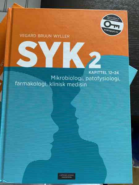 SYK 2