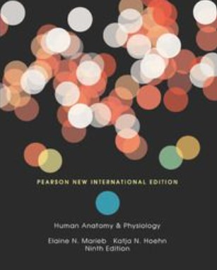 Human Anatomy & Physiology