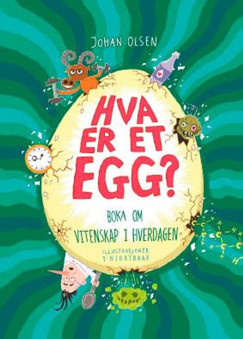 Hva er et egg?