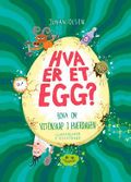 Hva er et egg?