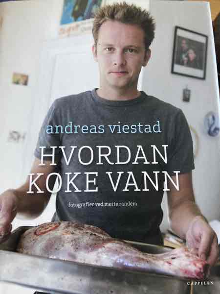 Hvordan koke vann