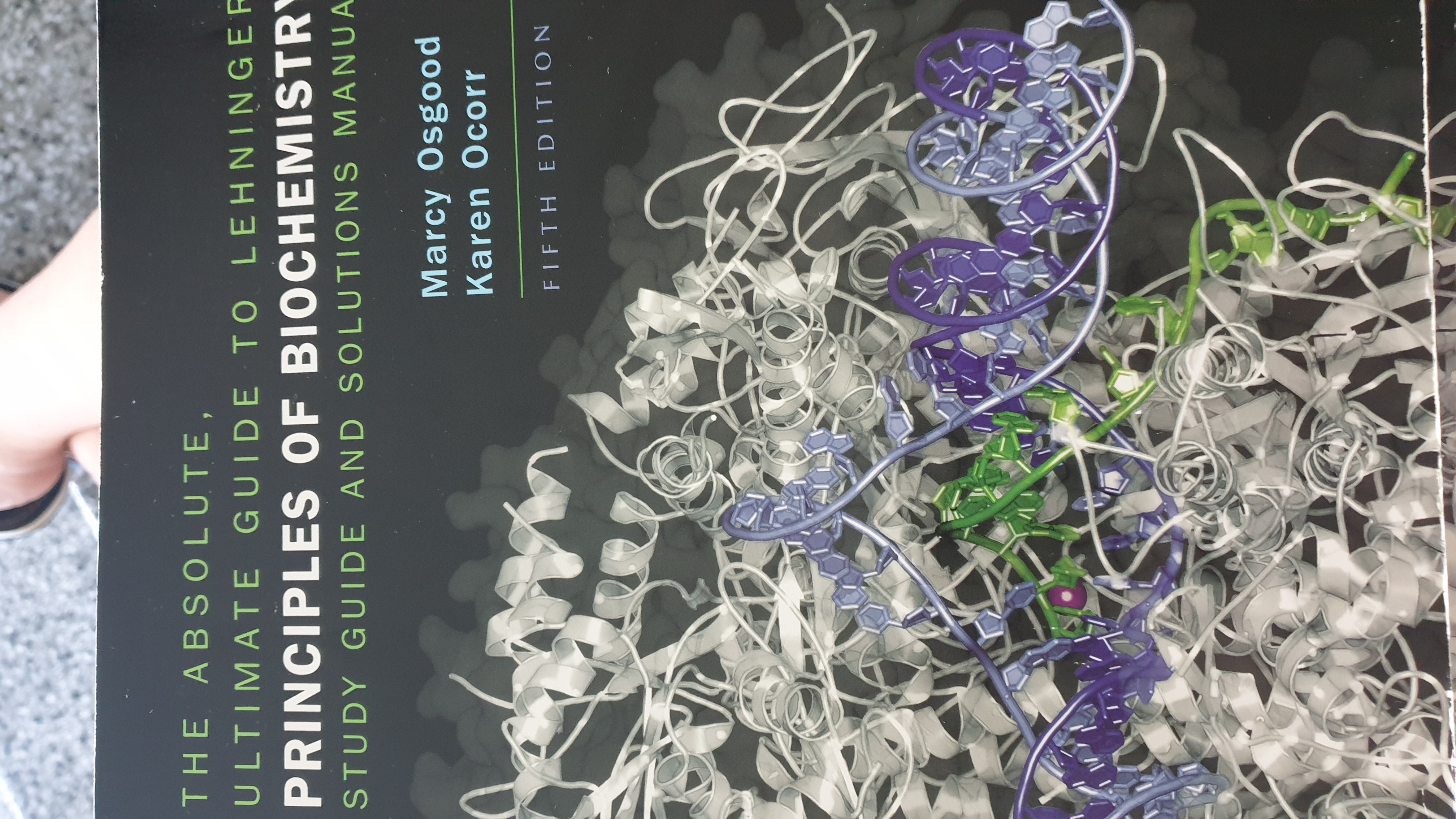 The absolute ultimate guide to Lehningers Priciples of Biochemistry. 
