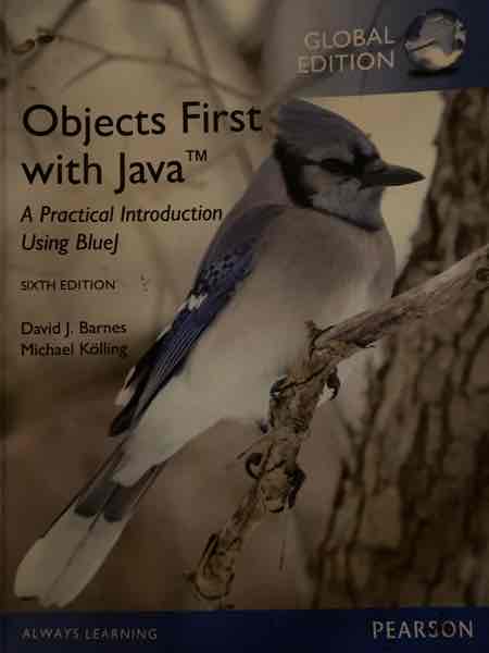 Objects first with java