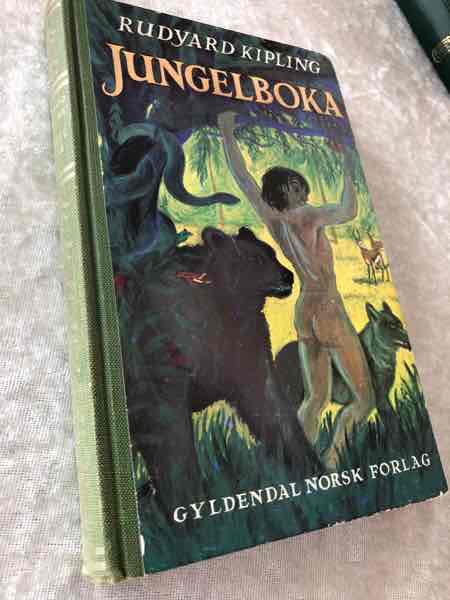 Jungelboka