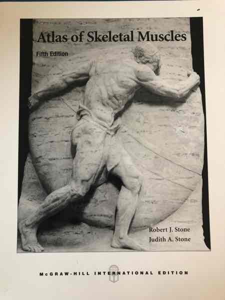 Atlas of Skeletal Muscles