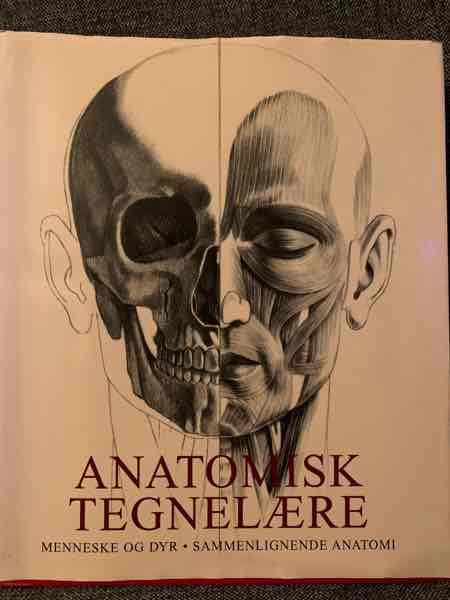 Anatomisk tegnelære