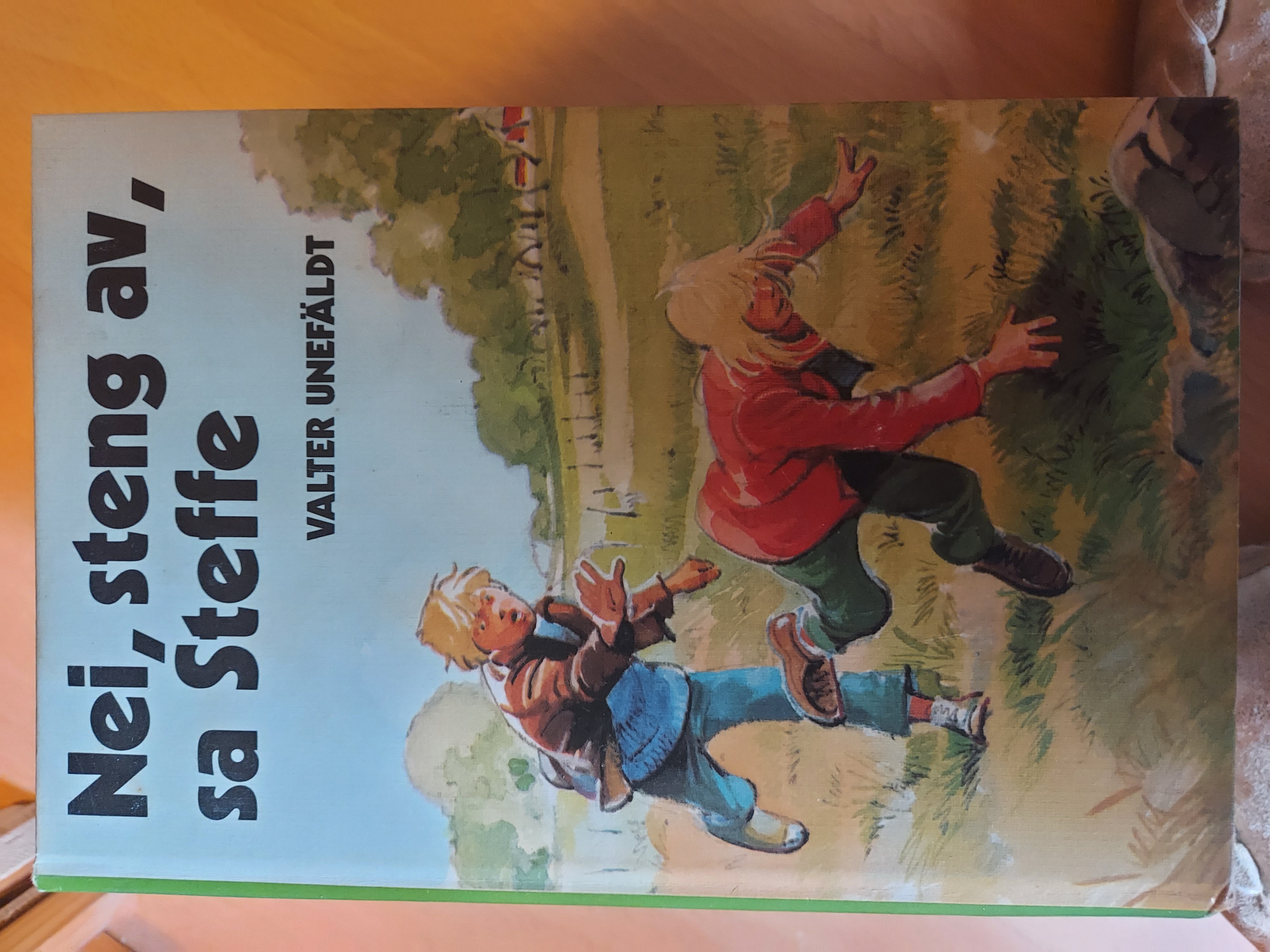 NEI STENG AV SA STEFFE