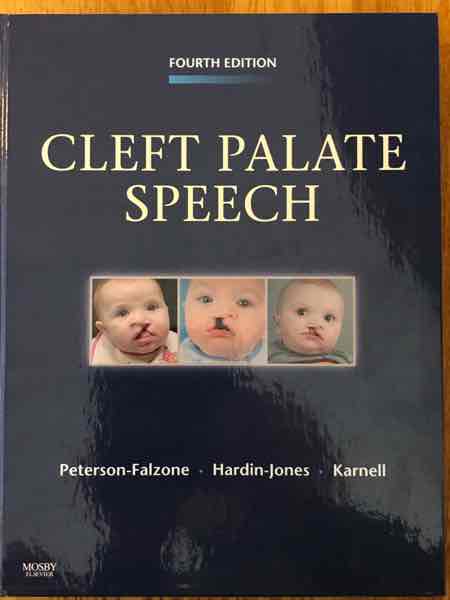 Cleft palate speech