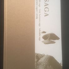 Saga. Norrøne sagaer i utvalg