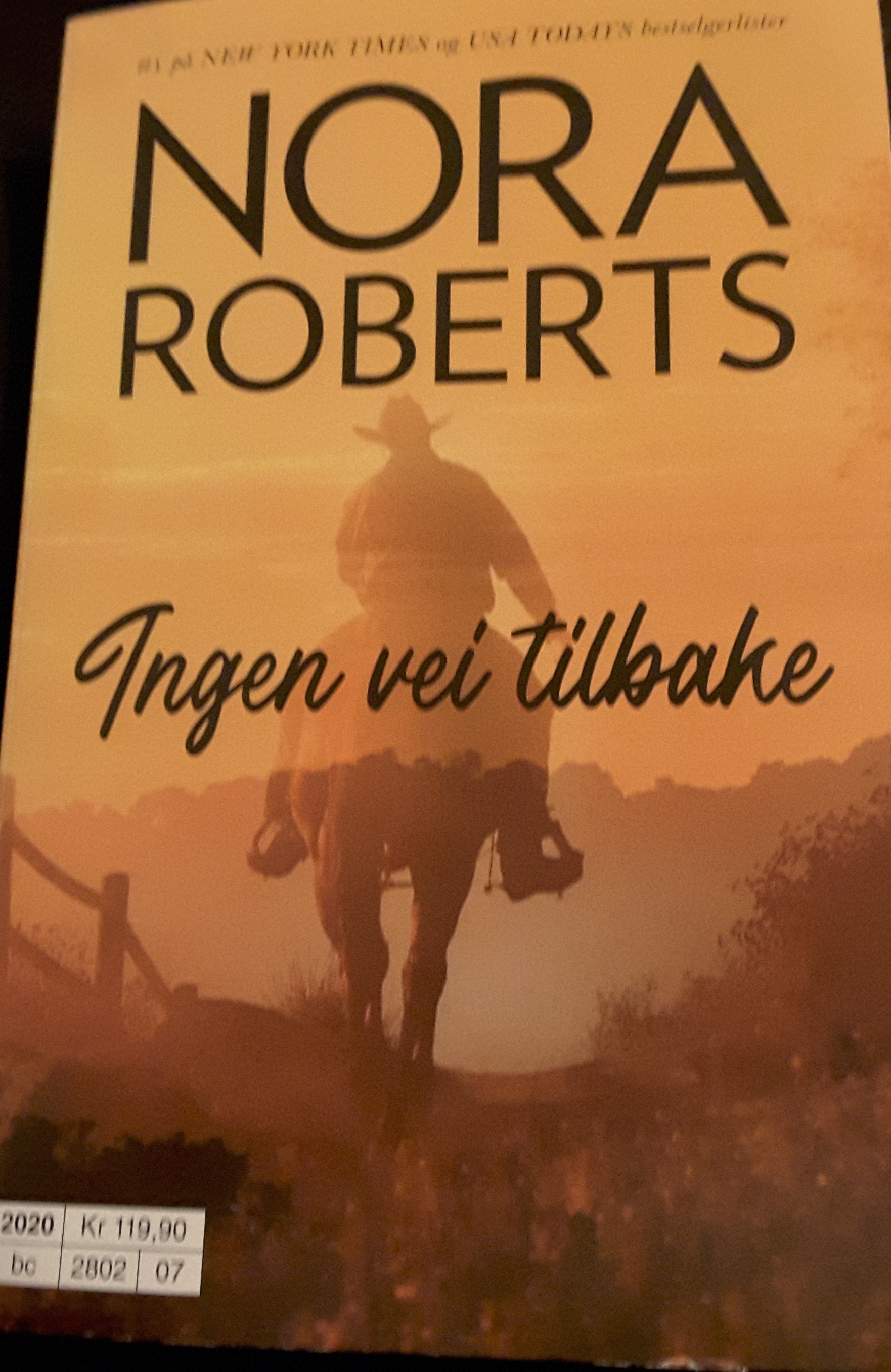 Ingen vei tilbake
