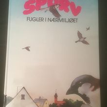 SPURV – FUGLER I NÆRMILJØET