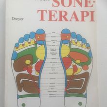 Soneterapi