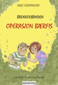 Operasjon Bærfis