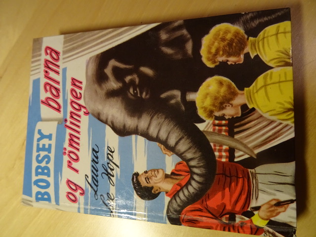 Bobsey-barna og rømlingen