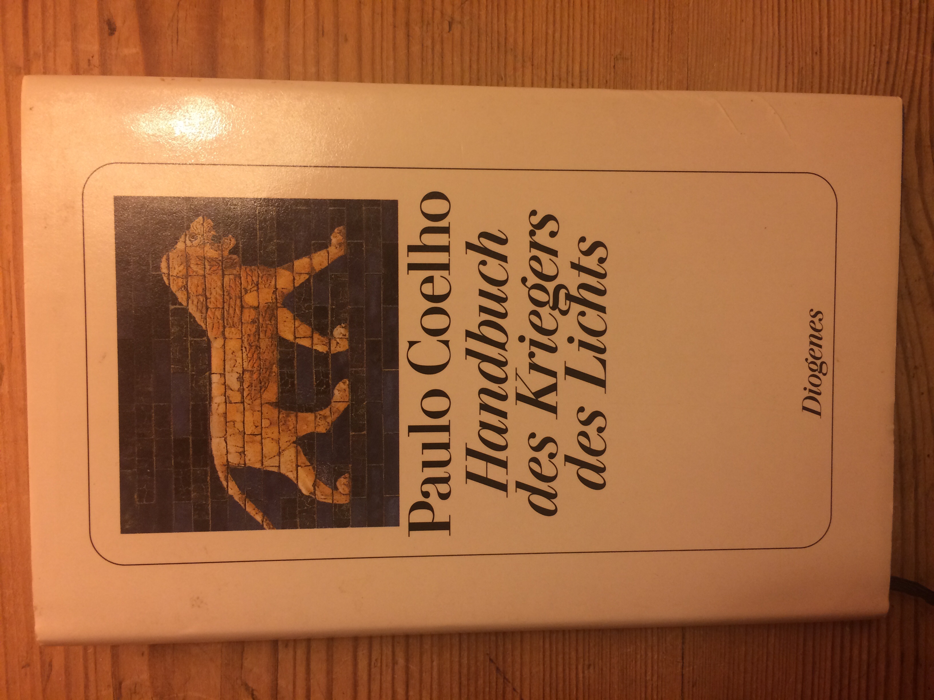 Handbuch des Kriegers des Lichts 