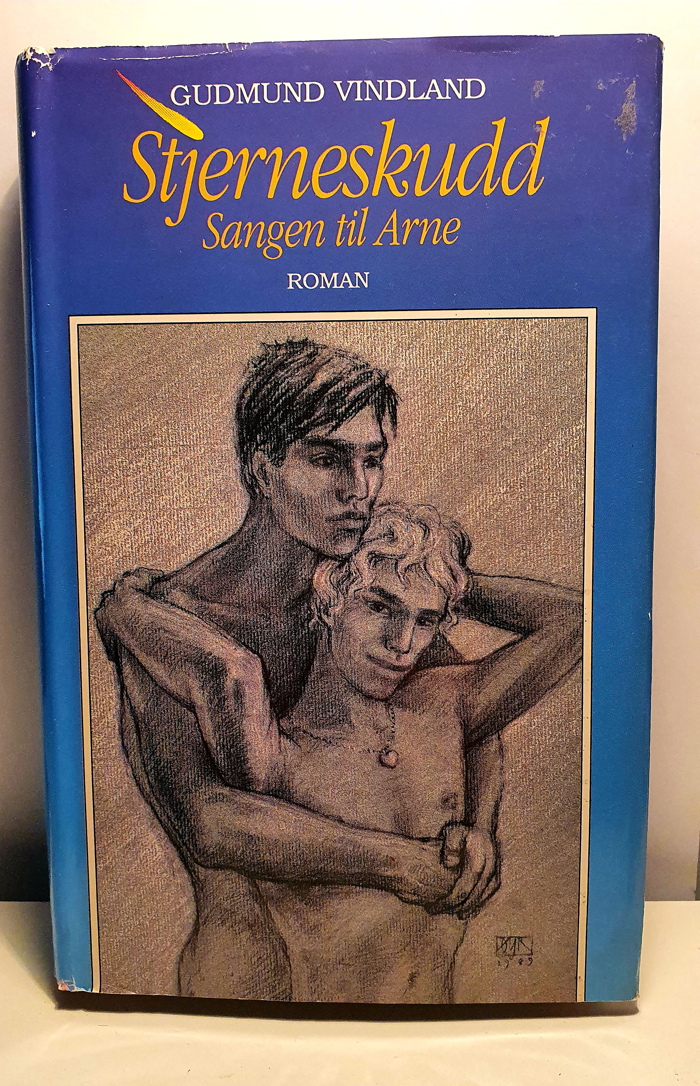 Stjerneskudd sangen til Arne