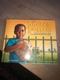 The Soccer Fence