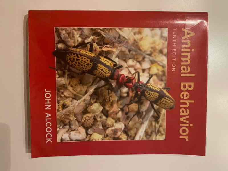 Animal Behavior