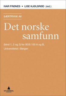 det norske samfunn