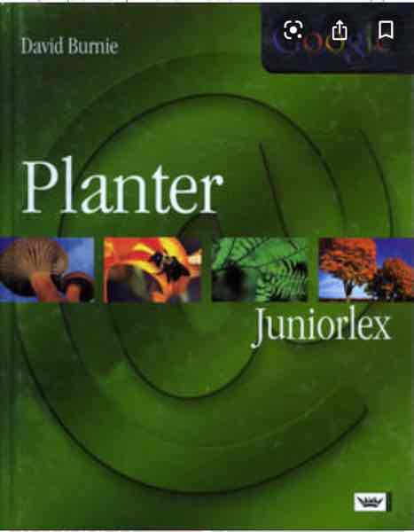 Planter